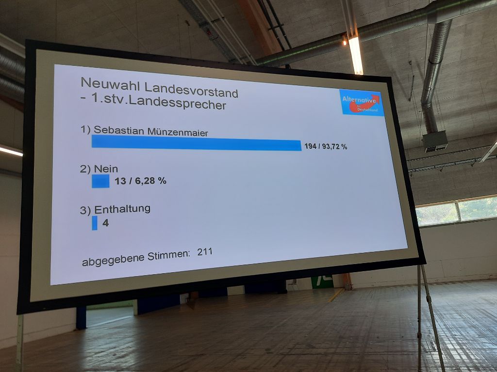 Landesparteitag AfD Rheinland-Pfalz - Ergebnis Stellvertreter