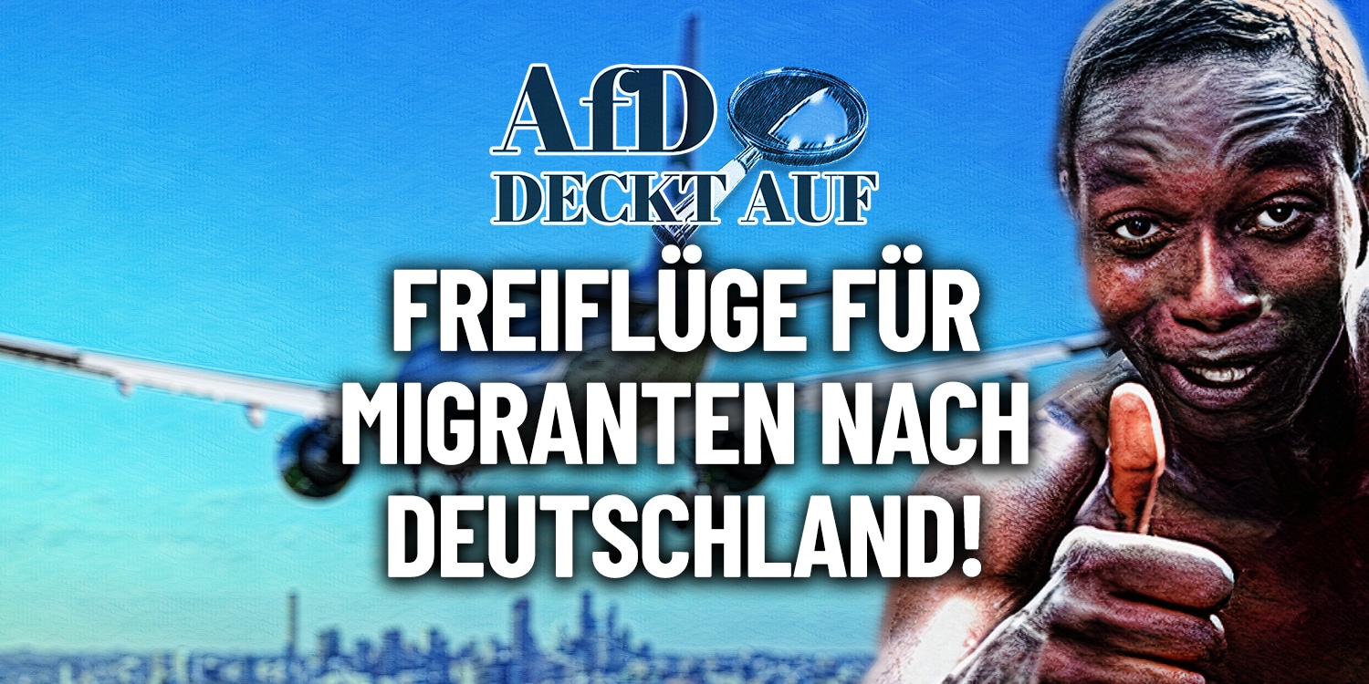AfD deckt auf: Freiflüge für Migranten nach Deutschland - Münzenmaiers ...