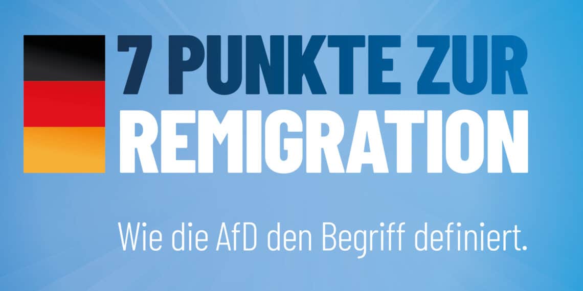 AfD: 7 Punkte zur Remigration